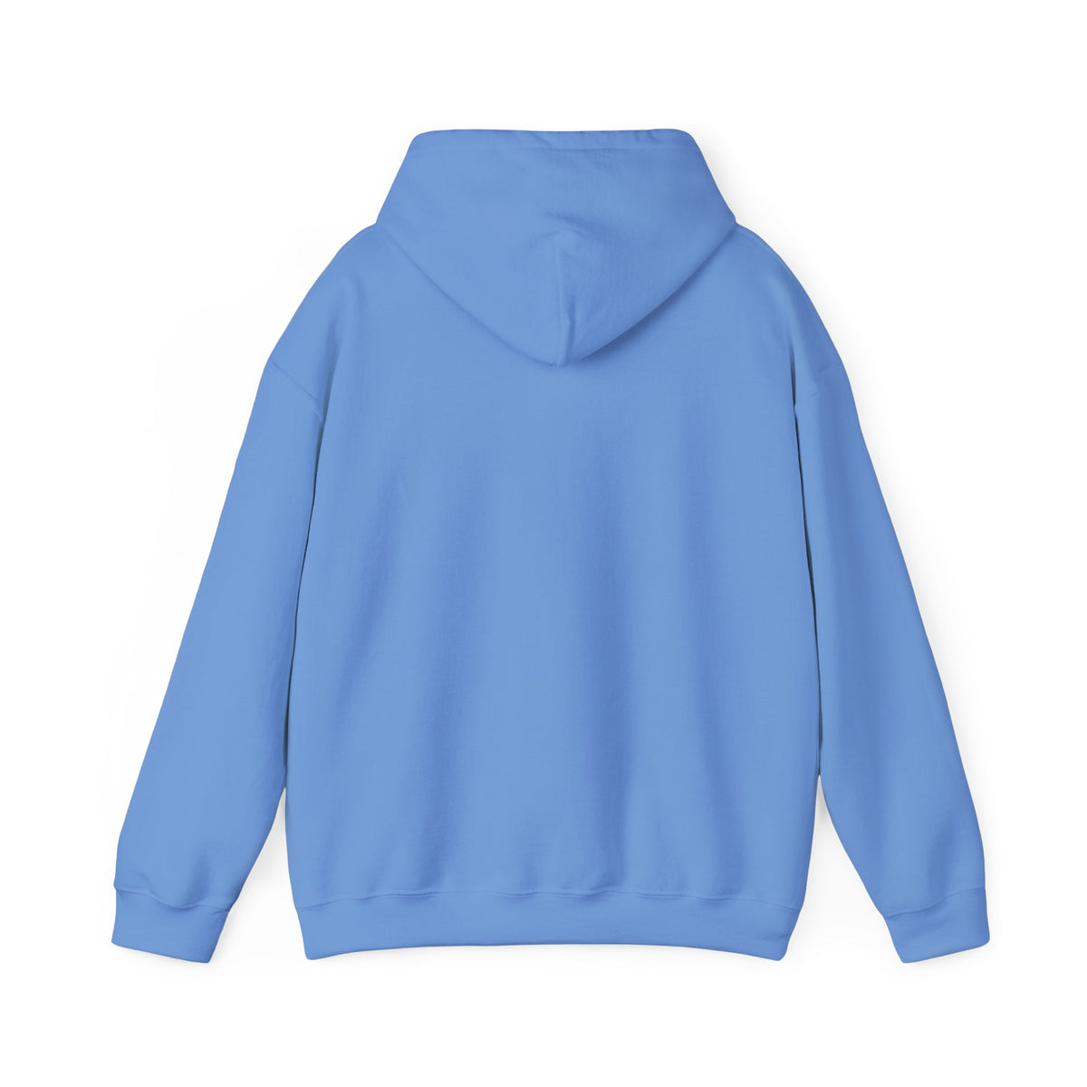 The Flagship Hoodie!